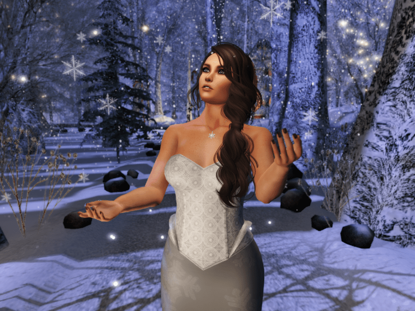 Snowstars-in-the-Forest